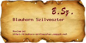 Blauhorn Szilveszter névjegykártya